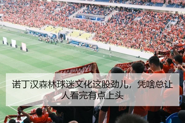 诺丁汉森林球迷文化这股劲儿，凭啥总让人看完有点上头（leyu）