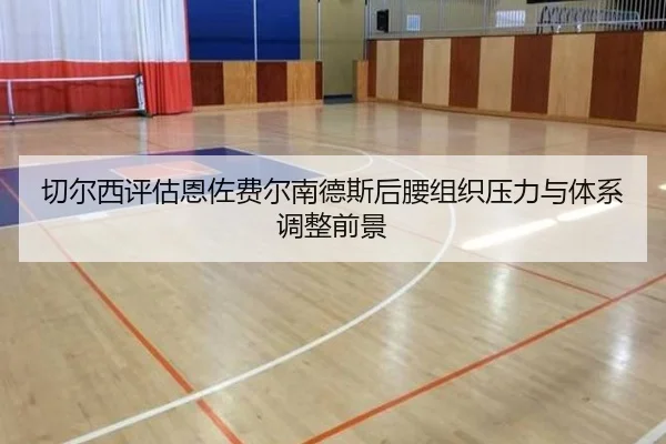 切尔西评估恩佐费尔南德斯后腰组织压力与体系调整前景（leyu）