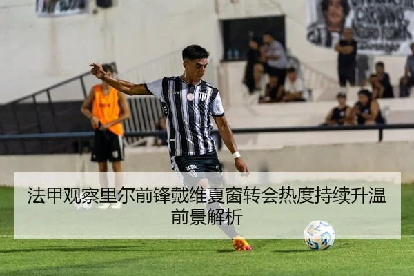 法甲观察里尔前锋戴维夏窗转会热度持续升温前景解析（leyu）